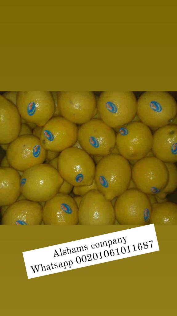 Product image - Fresh lemons from Egypt ready to be exported to your destination with high quality.
Verities : Adalia and Verna
Sizes:80/88/100/105/113/125/138/165
Packing: 8 , 10 kg cartons
For more information contact me
Mrs.Shimaa Mady
Salesdep              Tel&Whatsapp:00201061011687
